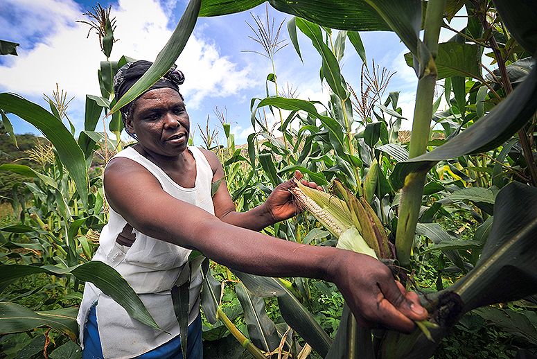 South Africa: Alberts Farm Highlights the Complexity of Homelessness and Conservation